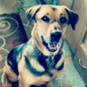 Meet your Posher, Ella